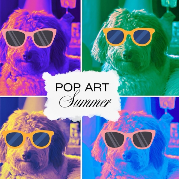 ARS Gallery Arts and Culture Center Pop Art Summer 2026